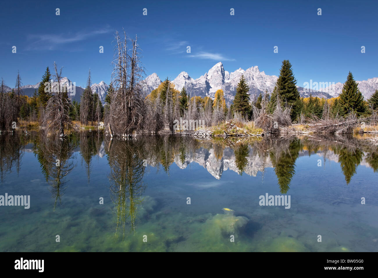 Die glorreiche Grand Teton spiegelt sich in den Biber Teich Stockfoto