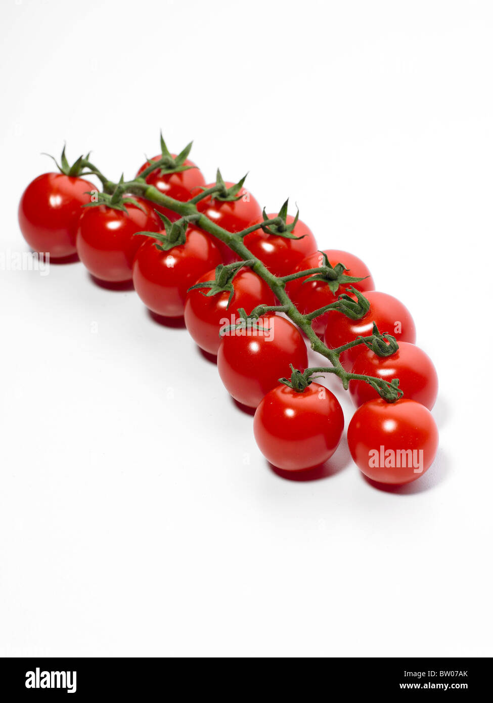 Cherry-Tomaten frisch auf der Rebe auf einem weißen Hintergrund Stockfoto