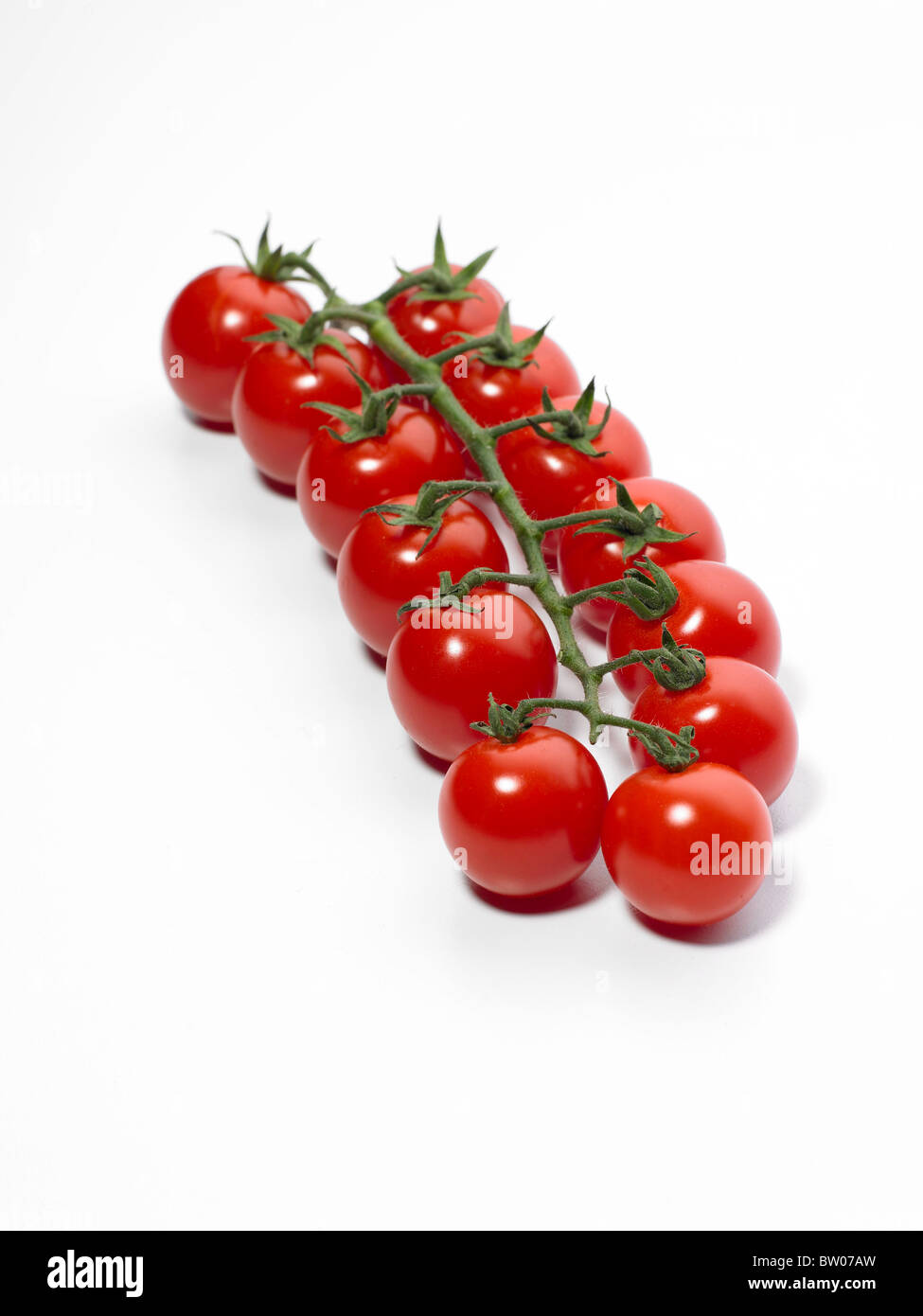 Cherry-Tomaten frisch auf der Rebe auf einem weißen Hintergrund Stockfoto