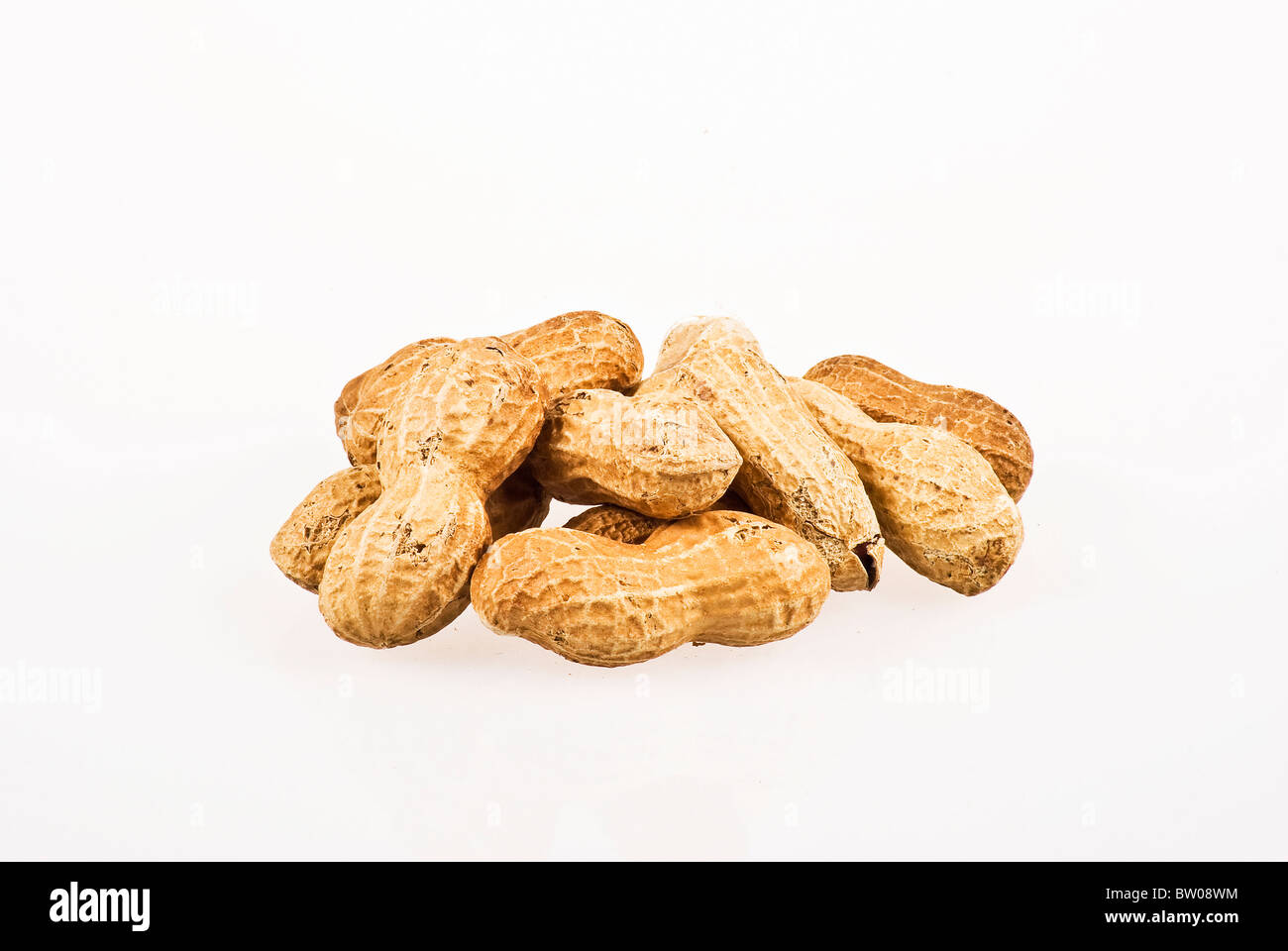 Einige Erdnüsse in Schalen auf weißem Hintergrund Stockfoto
