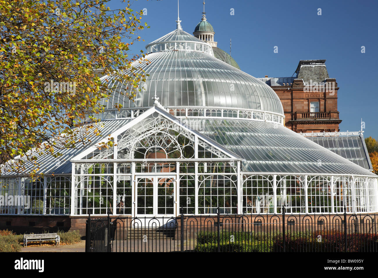 Glasgow Winter Garden im Herbst im öffentlichen Park Glasgow Green, Schottland, Großbritannien Stockfoto