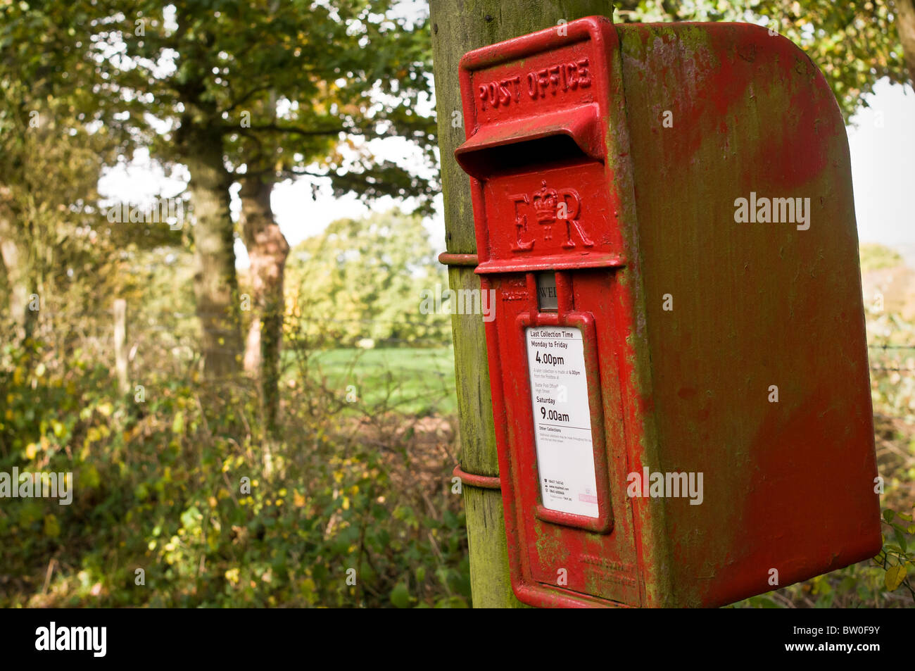 Elizabeth II. rot Post montiert Briefkasten, in ländlicher Umgebung. Stockfoto