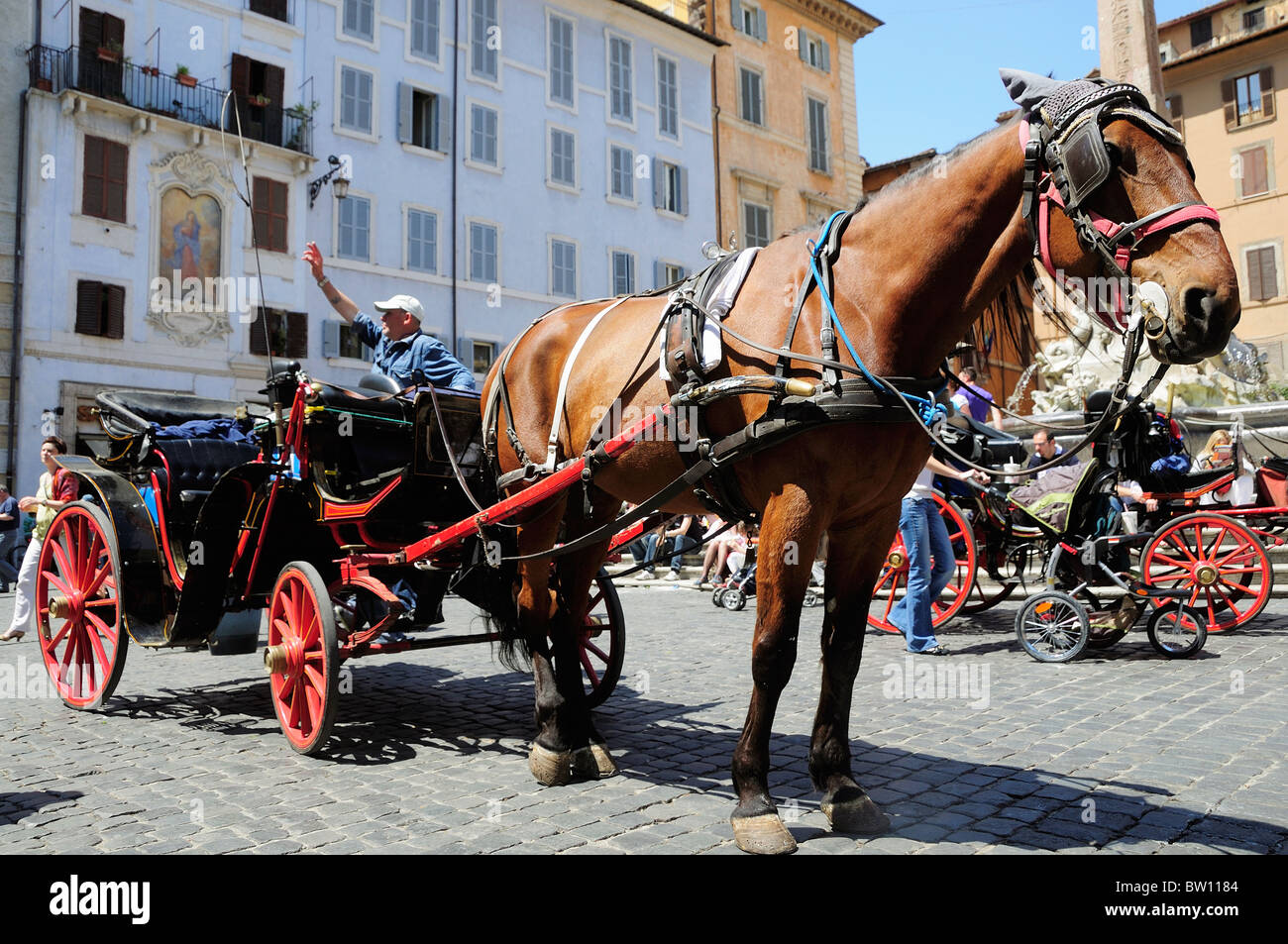 Pferdekutsche, Piazza della Rotonda Stockfoto
