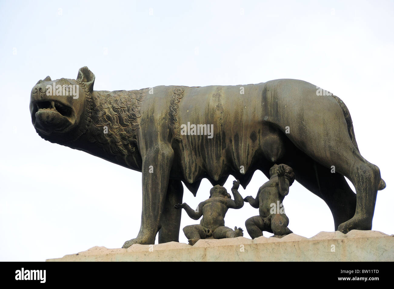 Statue der Wölfin Romulus & Remus, Palazzo Senatorio, Piazza del Campidoglio Spanferkel Stockfoto