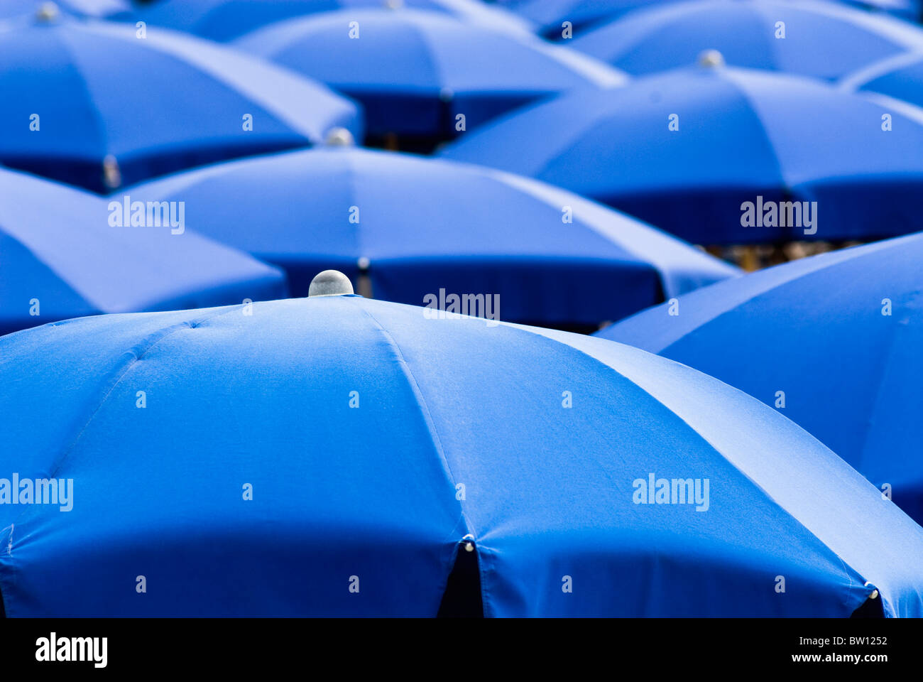 Blaue Sonnenschirme, Italien, Europa Stockfoto