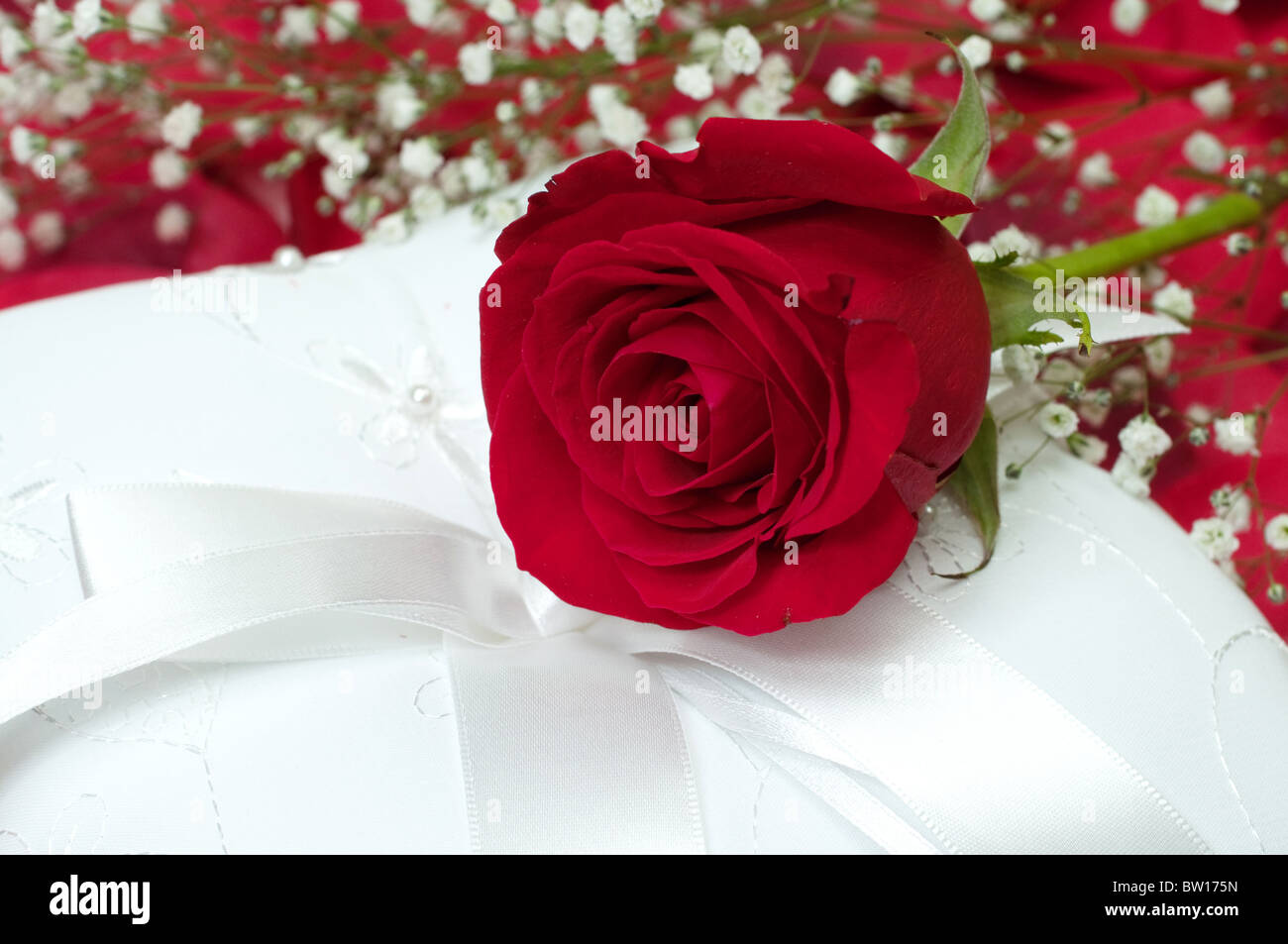 Rote rose mit Schleierkraut auf weißen Ringträger Kissen. Stockfoto