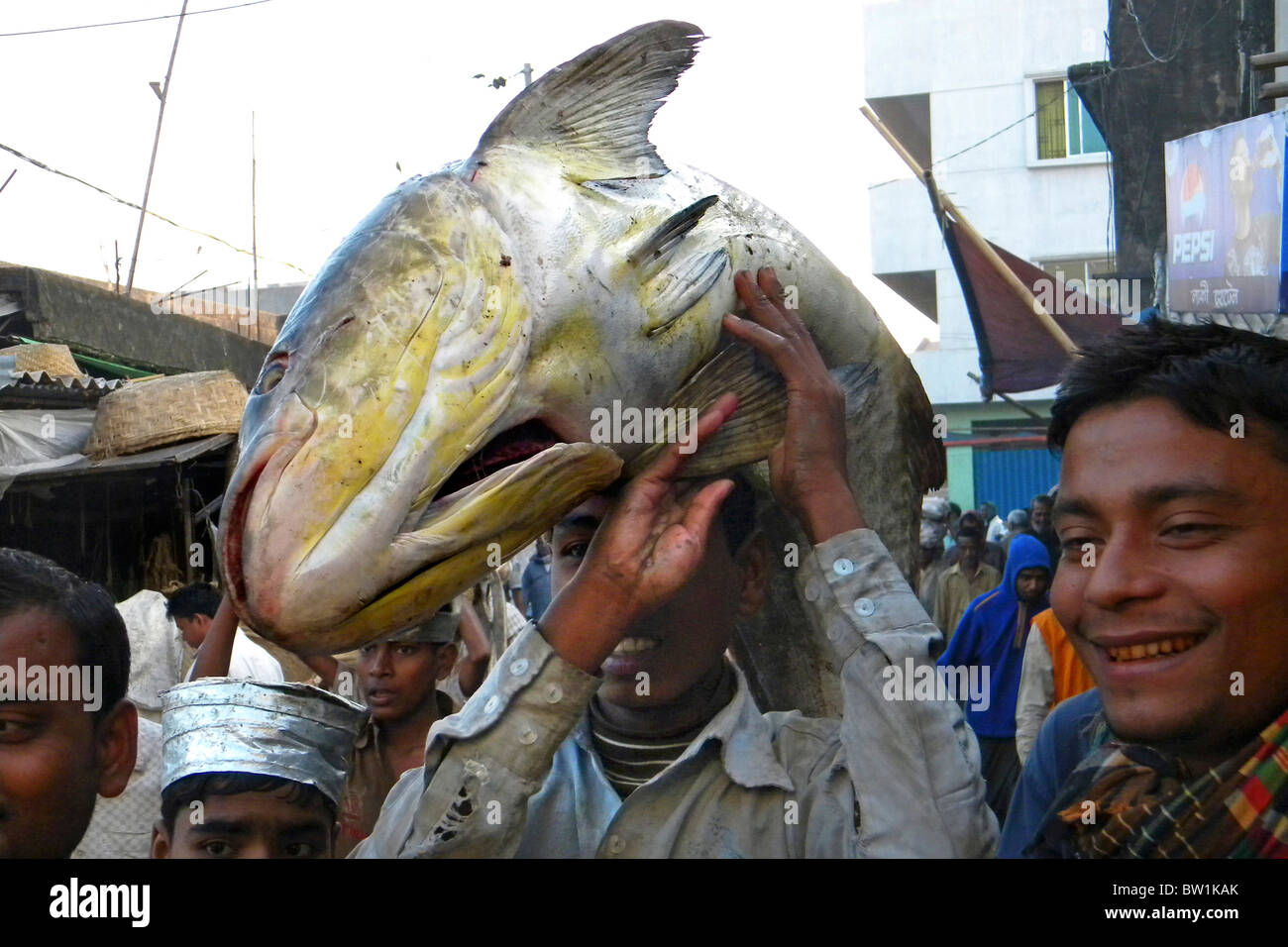 Fischmarkt, Chittagong, Bangladesch Stockfoto