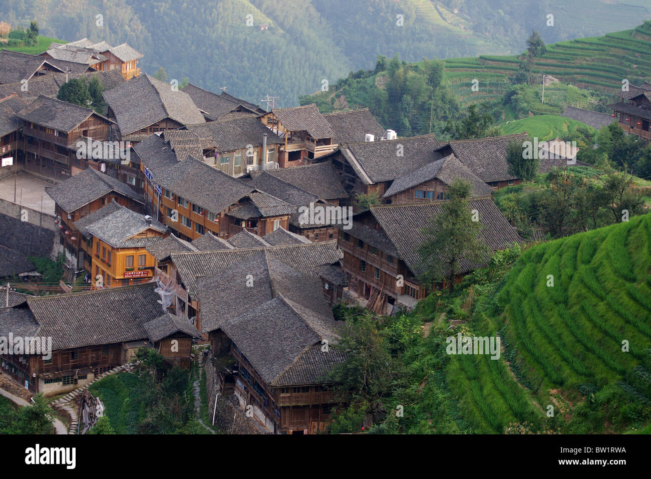 China - Drachen Rückgrat Reisterrassen Stockfoto