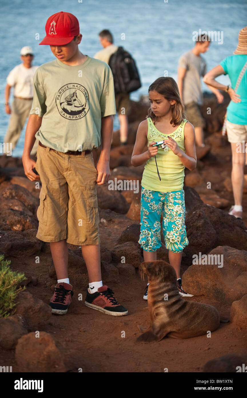 Kinder und Baby Seelöwen (Zalophus wollebaeki), Nordseymour Insel, Galapagosinseln, Ecuador. Stockfoto