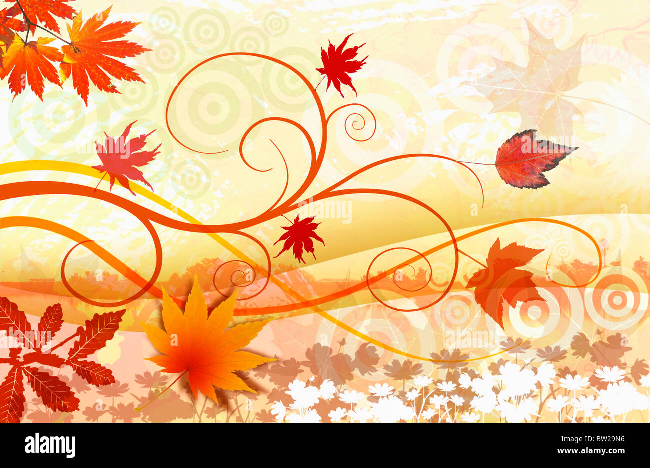 Herbstlaub in Abbildung Stockfoto