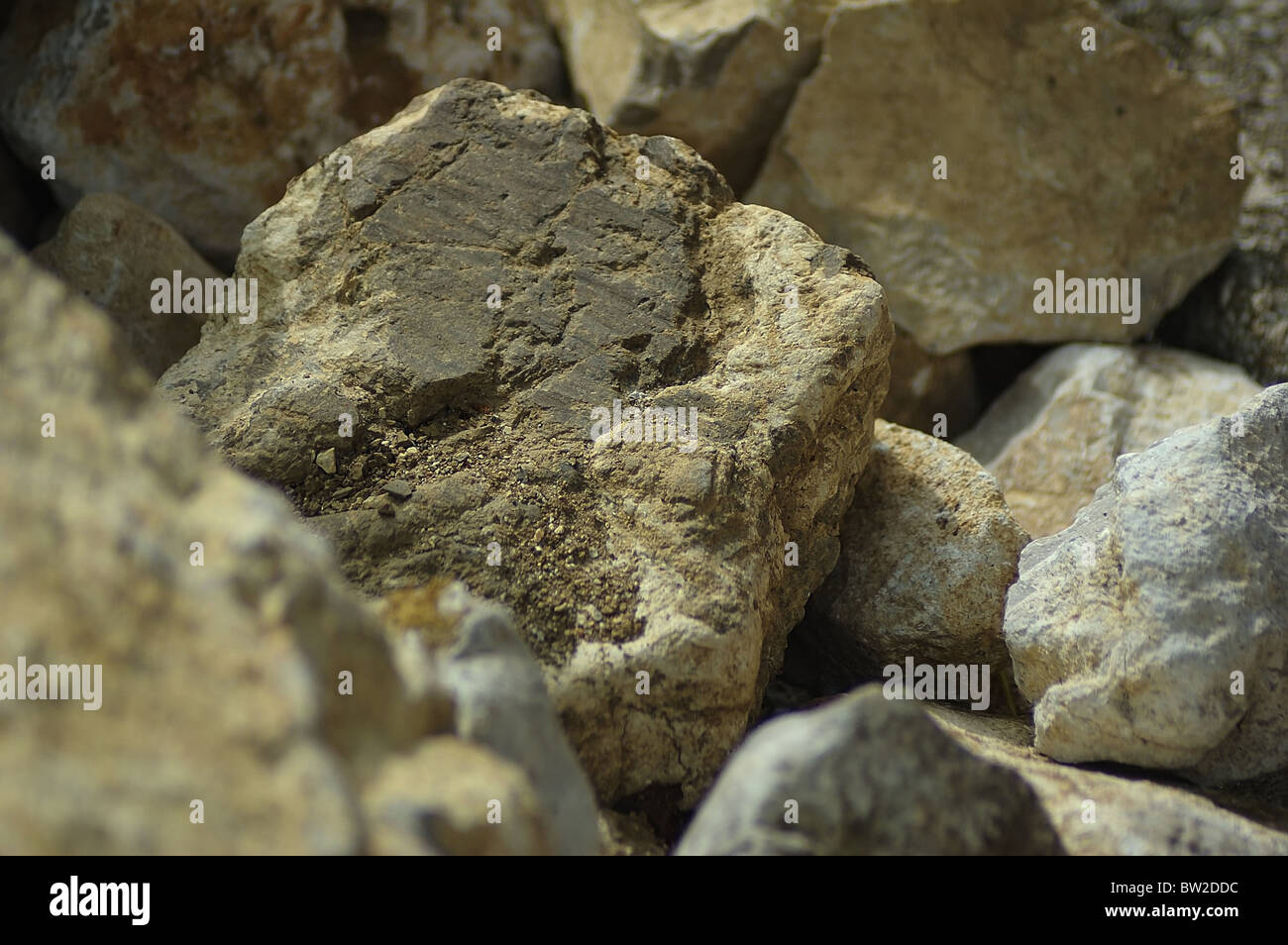 Die Felsen gestreichelt durch die warme Sommersonne ist Gelbgold, Italien, Tagliamento Stockfoto