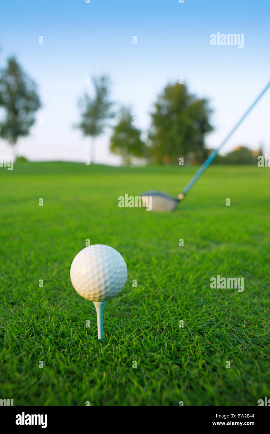 Golf Tee Ball Club Fahrer in grün Grasbäume Kurs Horizont Stockfoto