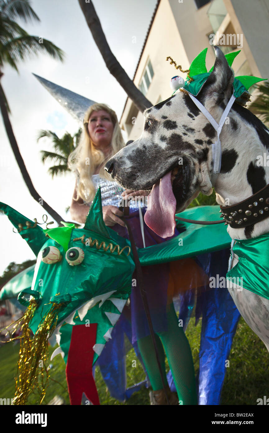 Kostümierte Teilnehmer mit ihrem Hund während der Pet Maskerade bei der jährlichen Fantasy Fest Key West, Florida. Stockfoto