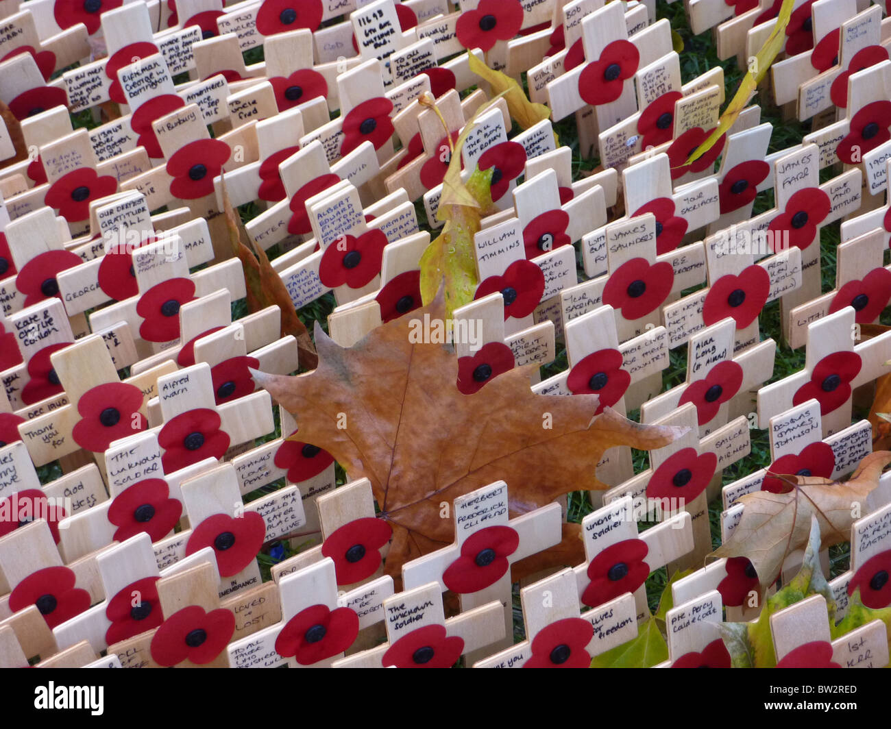 Mohn des Gedenkens auf dem Gelände des Westminster Abbey im 2010 gelegt. Stockfoto