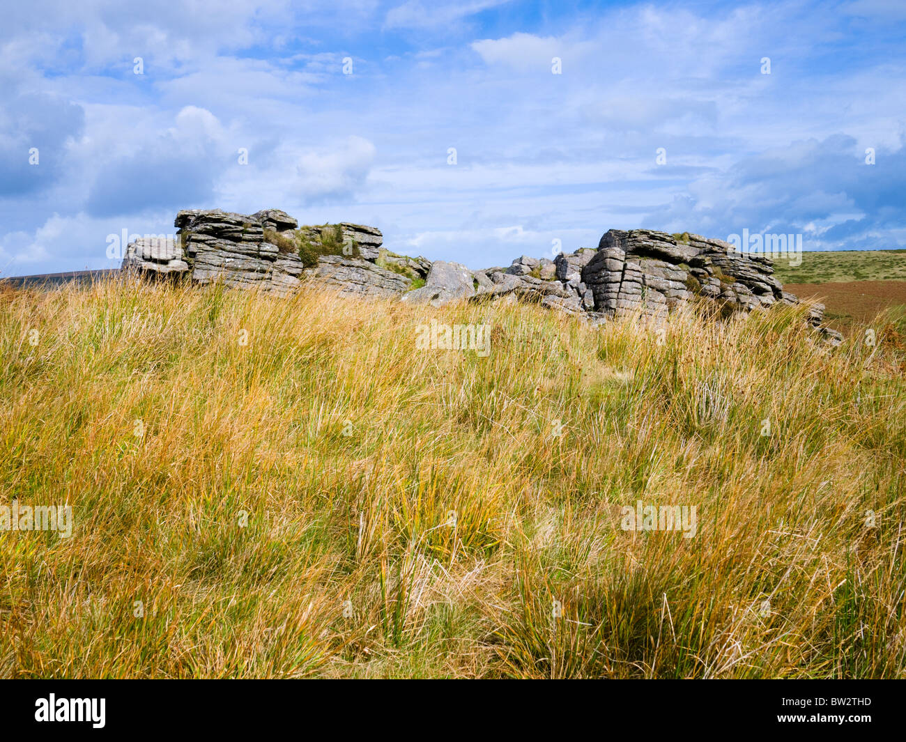 Schwarze Tor auf Brent Moor im Dartmoor National Park in der Nähe von Didworthy, Devon, England. Stockfoto