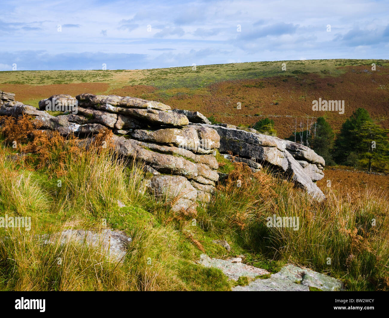 Schwarze Tor auf Brent Moor im Dartmoor National Park in der Nähe von Didworthy, Devon, England. Stockfoto