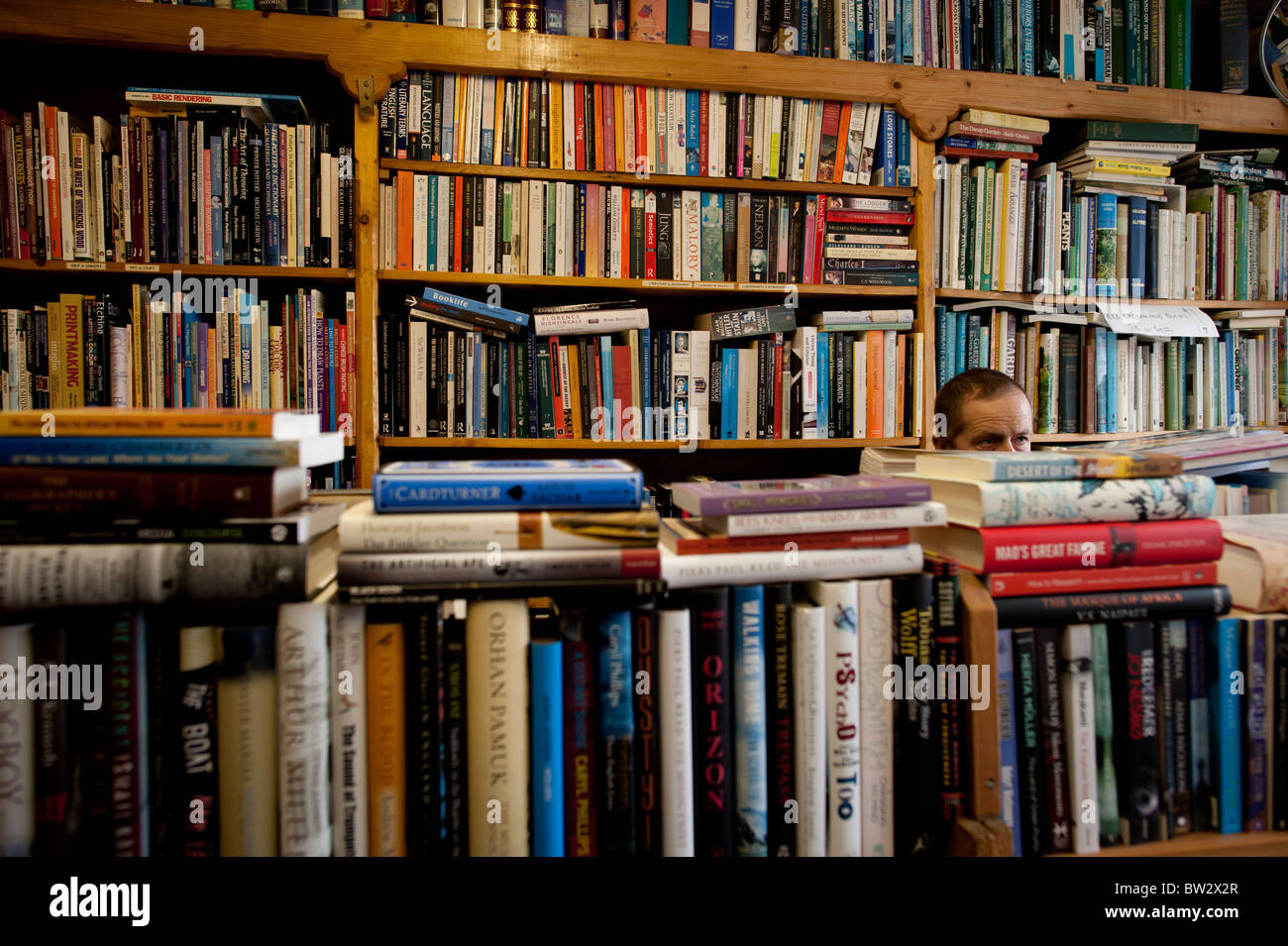 ein Mann in Ystwyth Bücher neue und gebrauchte unabhängigen Buchhandlung, Aberystwyth Wales UK Stockfoto