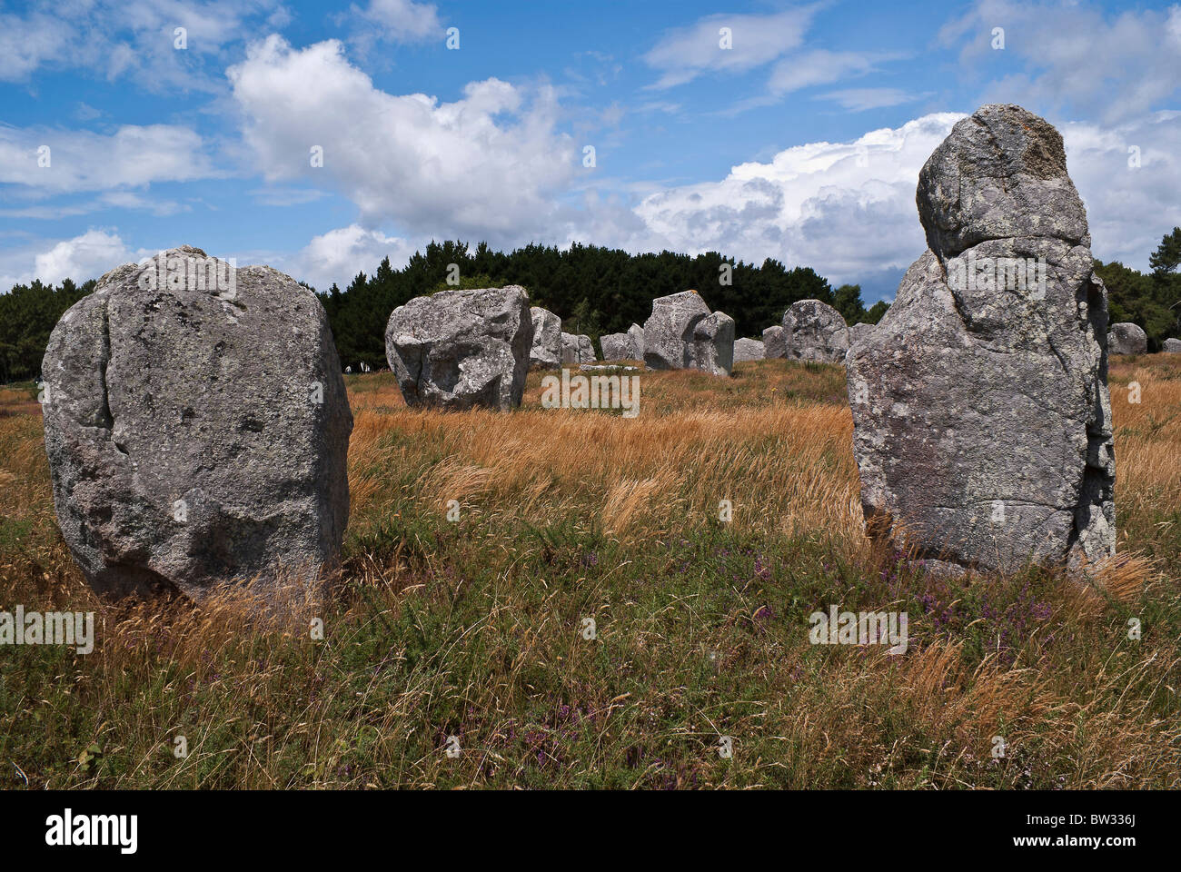 Prähistorische Fundstätte von Carnac in französische Bretagne Stockfoto