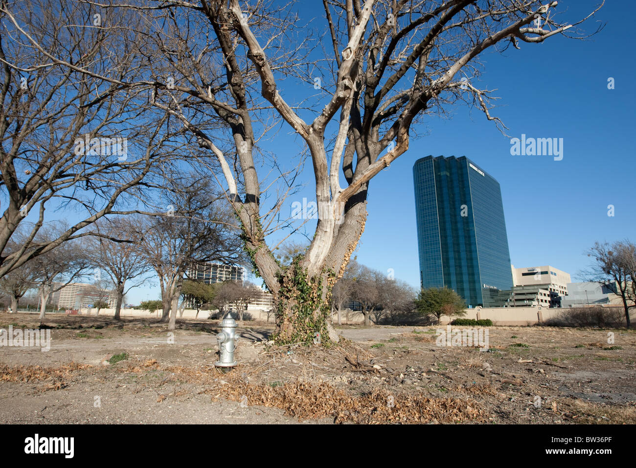 Künftigen Standort von George W. Bush Presidential Center auf dem Campus der Southern Methodist University in Dallas, Texas, USA Stockfoto