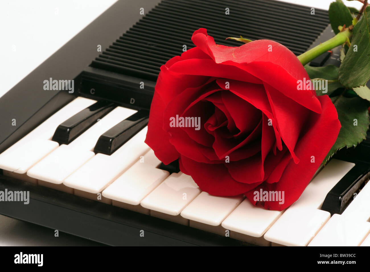 Rote Rose am Schlüsselbrett. Stockfoto