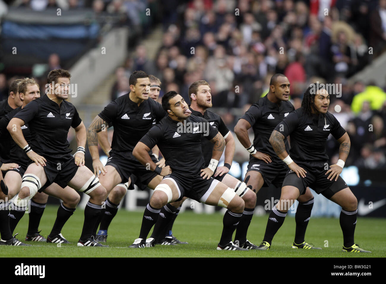 DER HAKA ENGLAND V Neuseeland RU TWICKENHAM MIDDLESEX ENGLAND 6. November 2010 Stockfoto