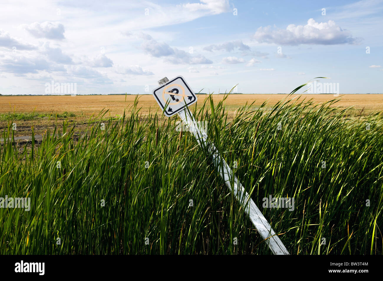 Umfallen Zeichen neben einem Feld, Winnipeg, Manitoba, Kanada. Stockfoto