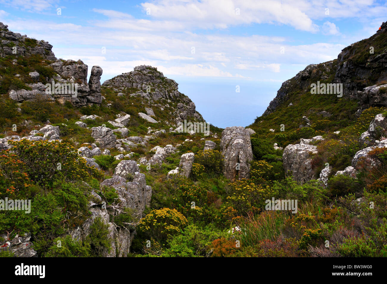 Landschaft des Table Mountain National Park, Kapstadt, Südafrika. Stockfoto