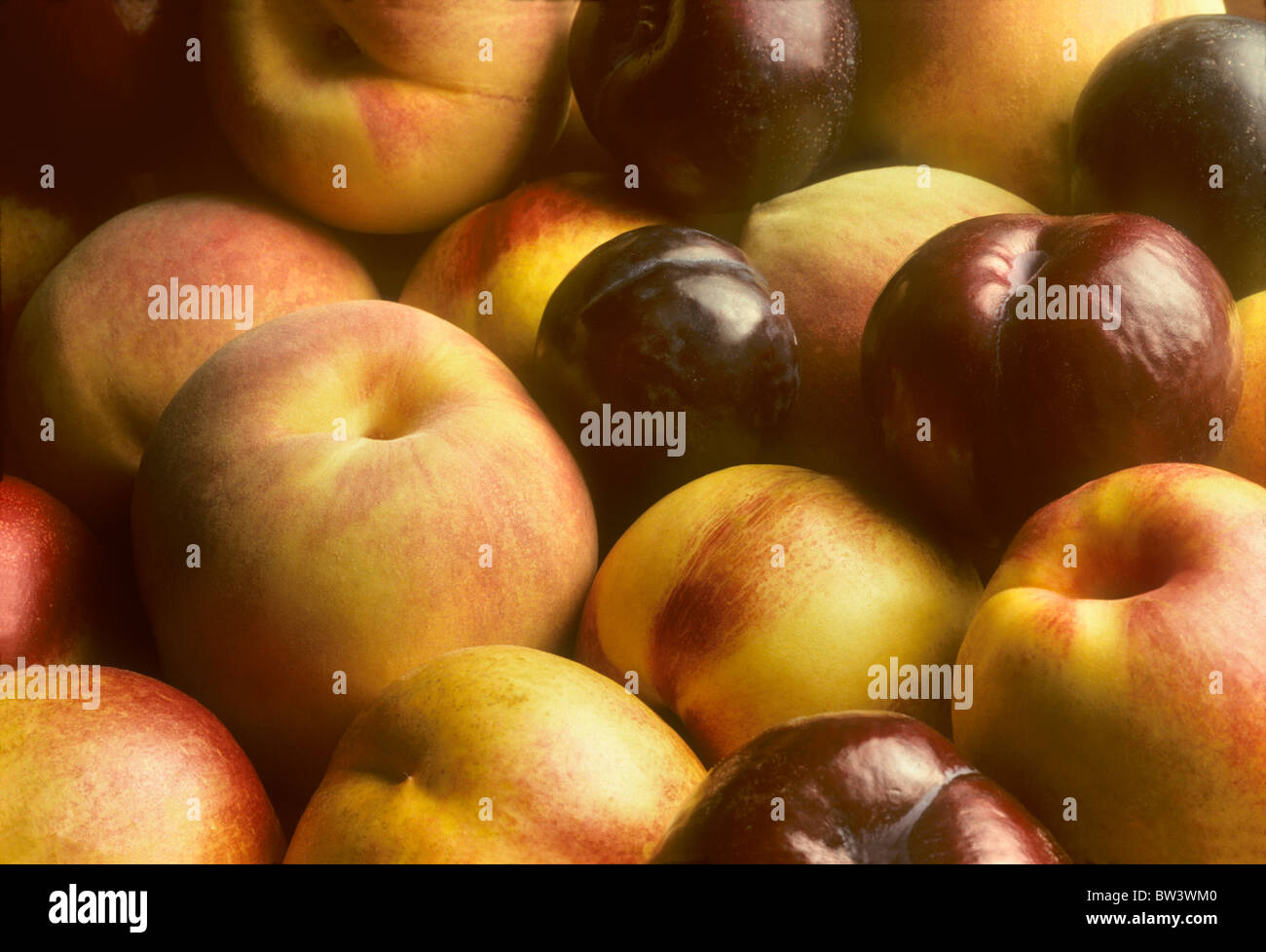 Steinfrucht wie Pflaumen, Nektarinen und Pfirsiche zusammen gestapelt Stockfoto