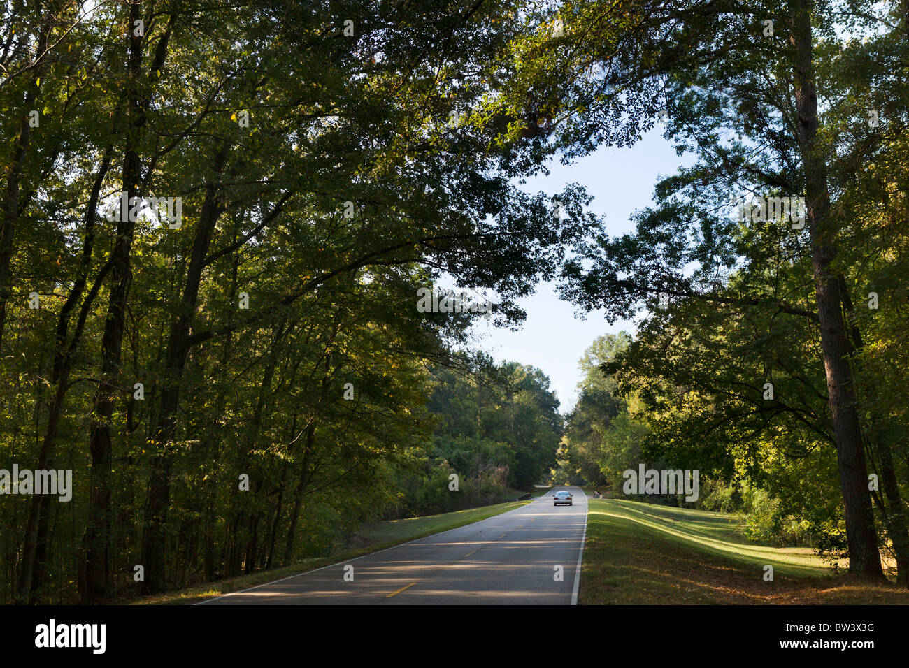 Die Natchez Trace Parkway zwischen Lorman und Natchez, Mississippi, USA Stockfoto