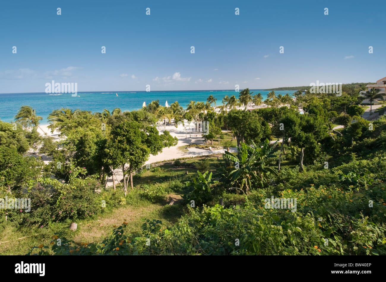 Karibik-Küste Stockfoto