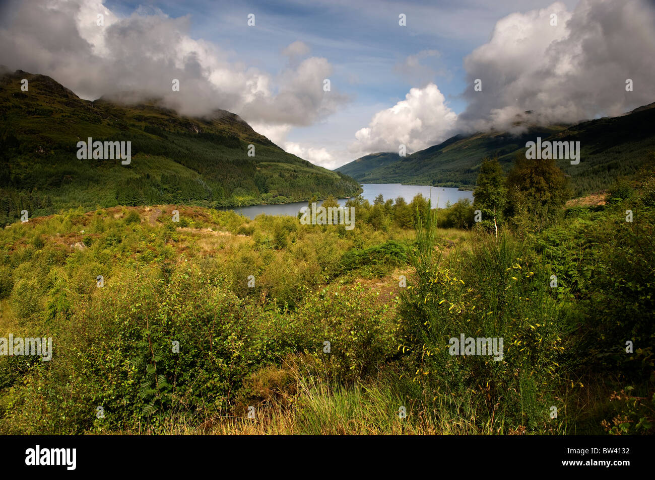 Loch Eck in Argyll. Ende des Sommers. Stockfoto