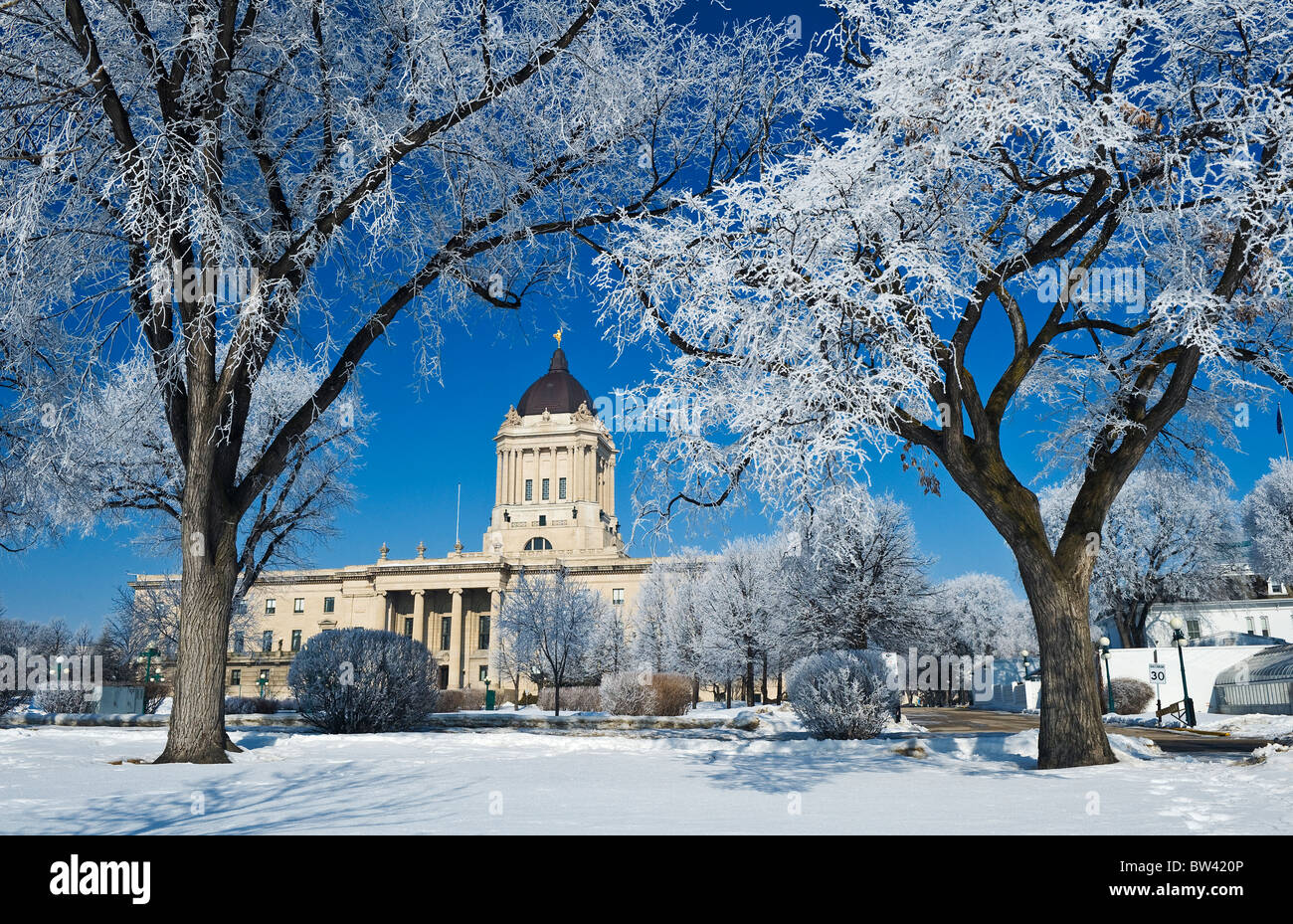 Raureif auf Bäumen mit Manitoba Legislative Building im Hintergrund, Winnipeg, Manitoba, Kanada Stockfoto