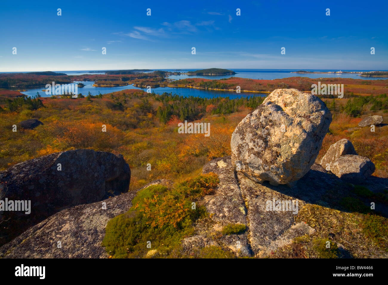 Coastal Wildnis mit Blick auf Schurken Roost Inlet und die Verwaltung von Prospect in der Ferne, Nova Scotia Stockfoto