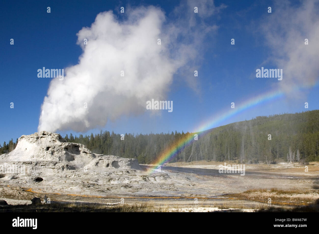 Castle Geyser Yellowstone ausbricht mit Regenbogen Stockfoto