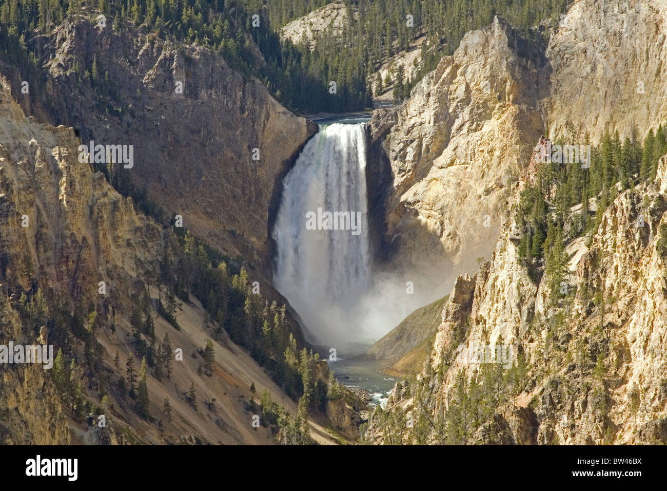 Lower Falls, Grand Canyon von Yellowstone Stockfoto
