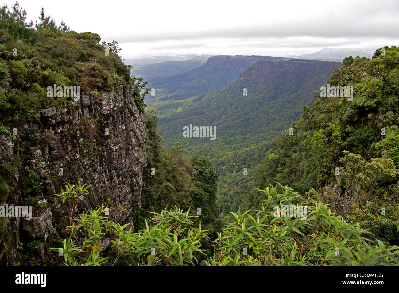 Gottes Fenster, Blyde River Canyon, Ukhahlamba Drakensberg Nationalpark, Mpumalanga, Südafrika Stockfoto