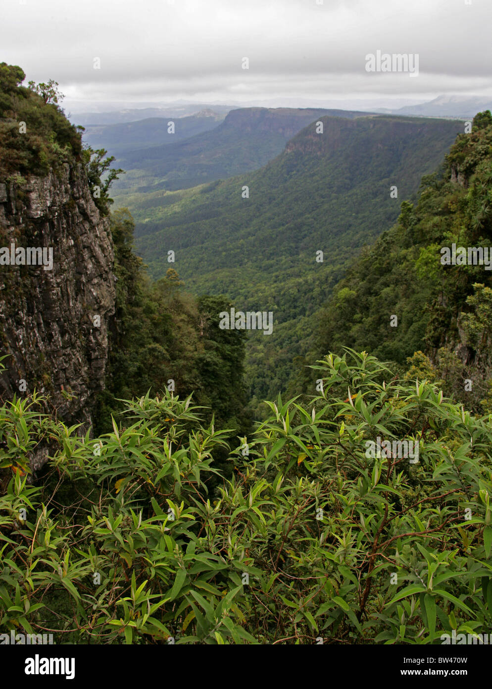 Gottes Fenster, Blyde River Canyon, Ukhahlamba Drakensberg Nationalpark, Mpumalanga, Südafrika Stockfoto
