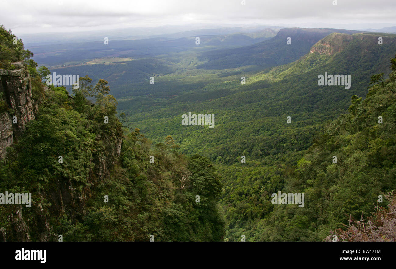 Gottes Fenster, Blyde River Canyon, Ukhahlamba Drakensberg Nationalpark, Mpumalanga, Südafrika Stockfoto