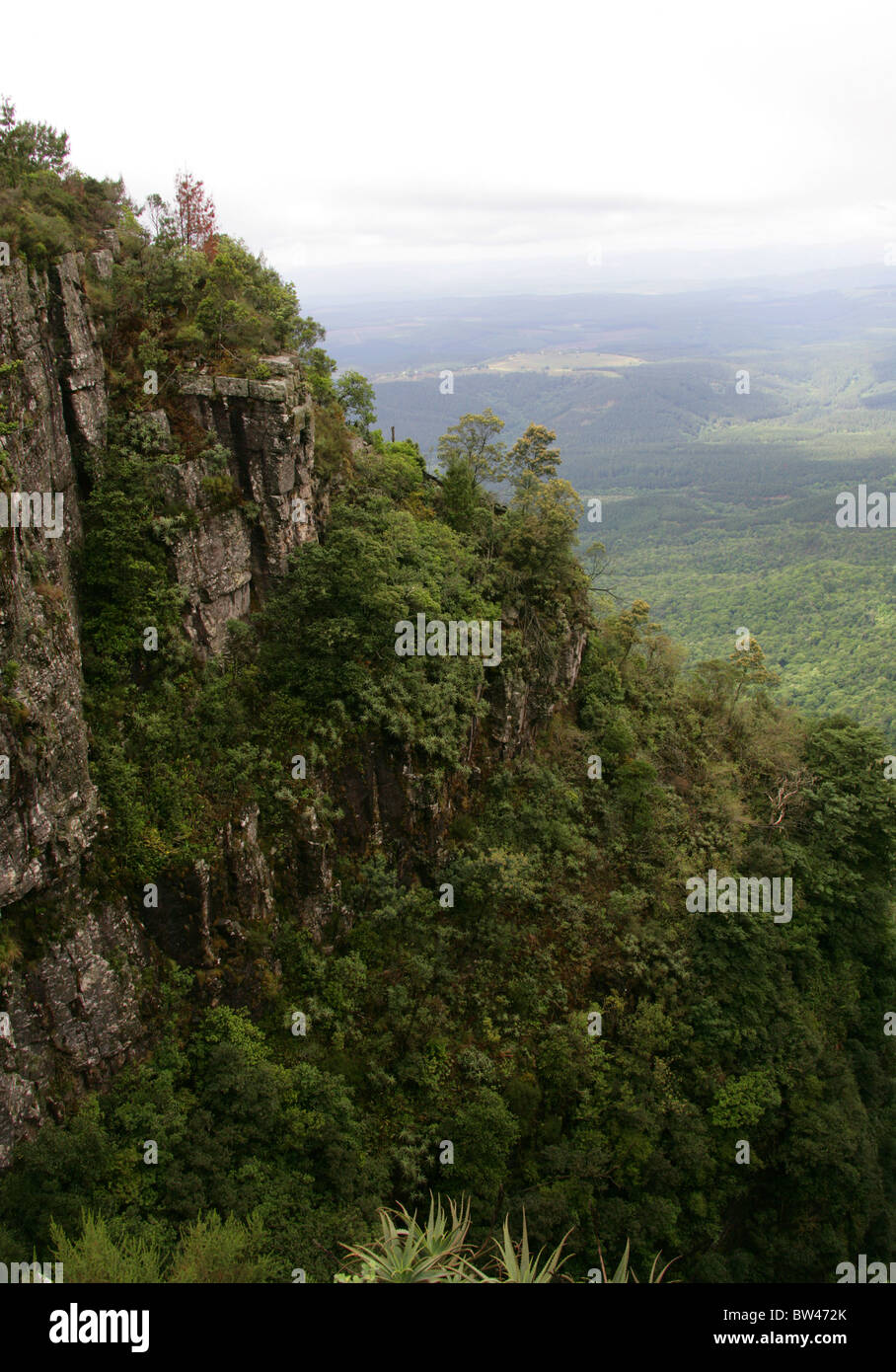 Gottes Fenster, Blyde River Canyon, Ukhahlamba Drakensberg Nationalpark, Mpumalanga, Südafrika Stockfoto