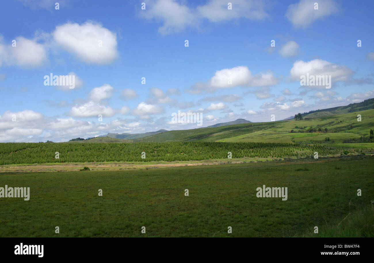 Berge und Hügel an der Panorama Route, in der Nähe von Blyde River Canyon, Mpumalanga, Südafrika Stockfoto