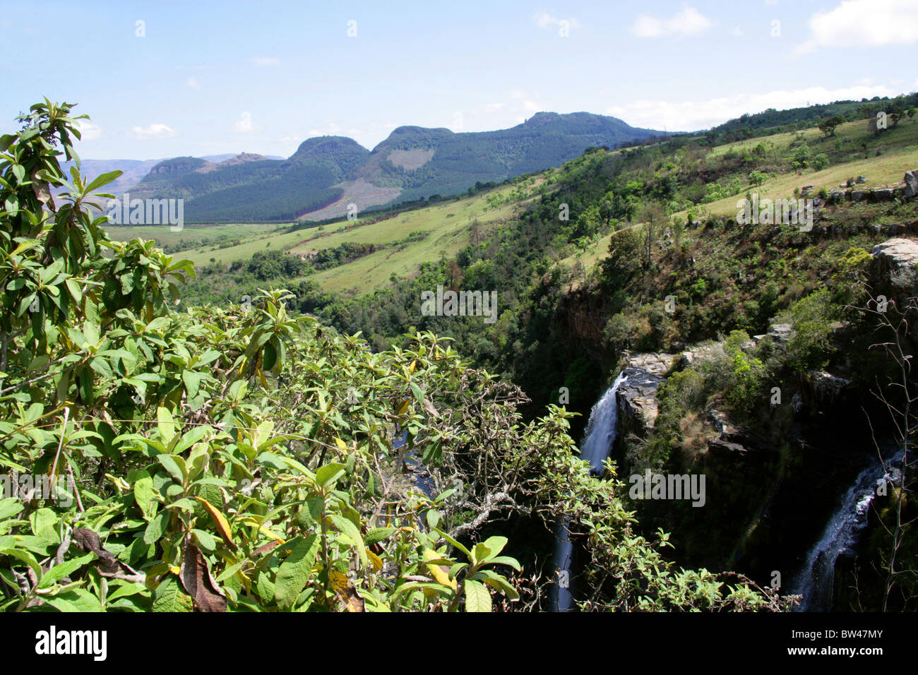 Lissabon fällt in Ukhahlamba Drakensberg Nationalpark, Blyde River Canyon, Mpumalanga, Südafrika Stockfoto