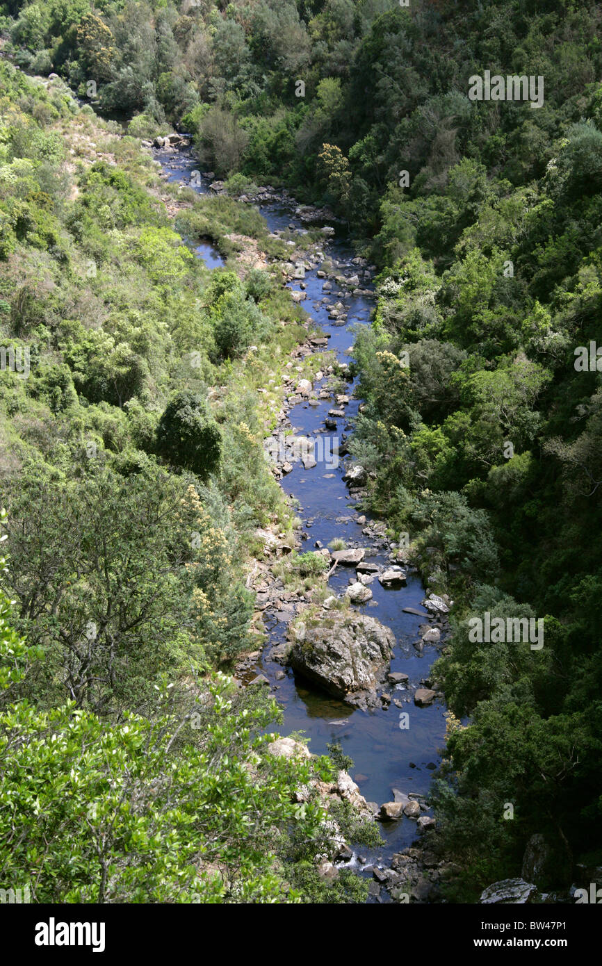 UKhahlamba Drakensberg Nationalpark, Blyde River Canyon, Mpumalanga, Südafrika Stockfoto