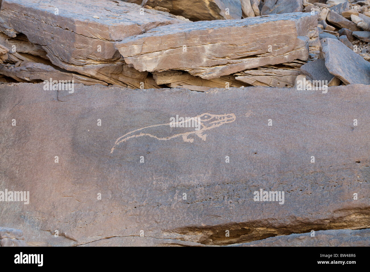 Darstellung des Krokodils geätzt in den Felsen der östlichen Wüste Ägypten Stockfoto
