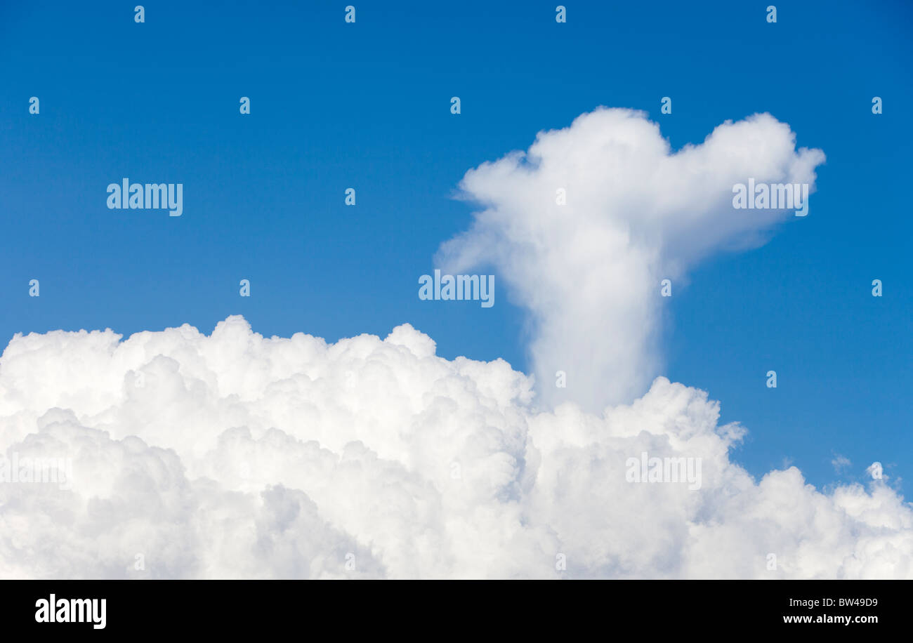 Updraft aus Cumulus Wolke bildet eine Hundekopfform zum Himmel, Finnland Stockfoto