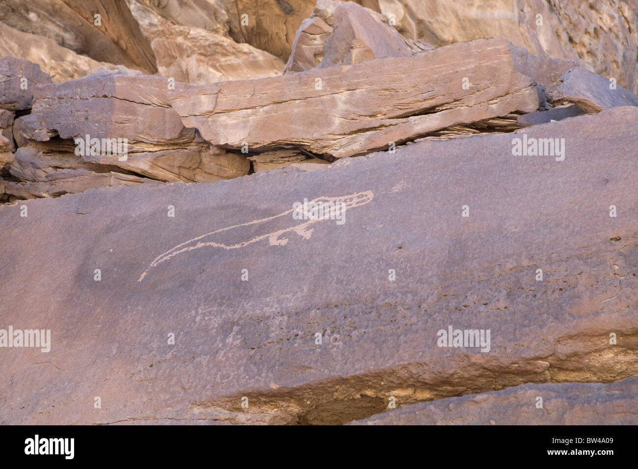 Darstellung des Krokodils geätzt in den Felsen der östlichen Wüste Ägypten Stockfoto
