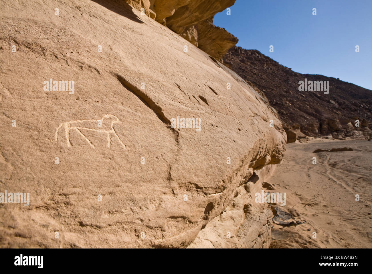 Uralte Felsmalereien zeigen Darstellungen von wild lebenden Tier möglicherweise Katze in einem Wadi in der östlichen Wüste von Ägypten. Stockfoto