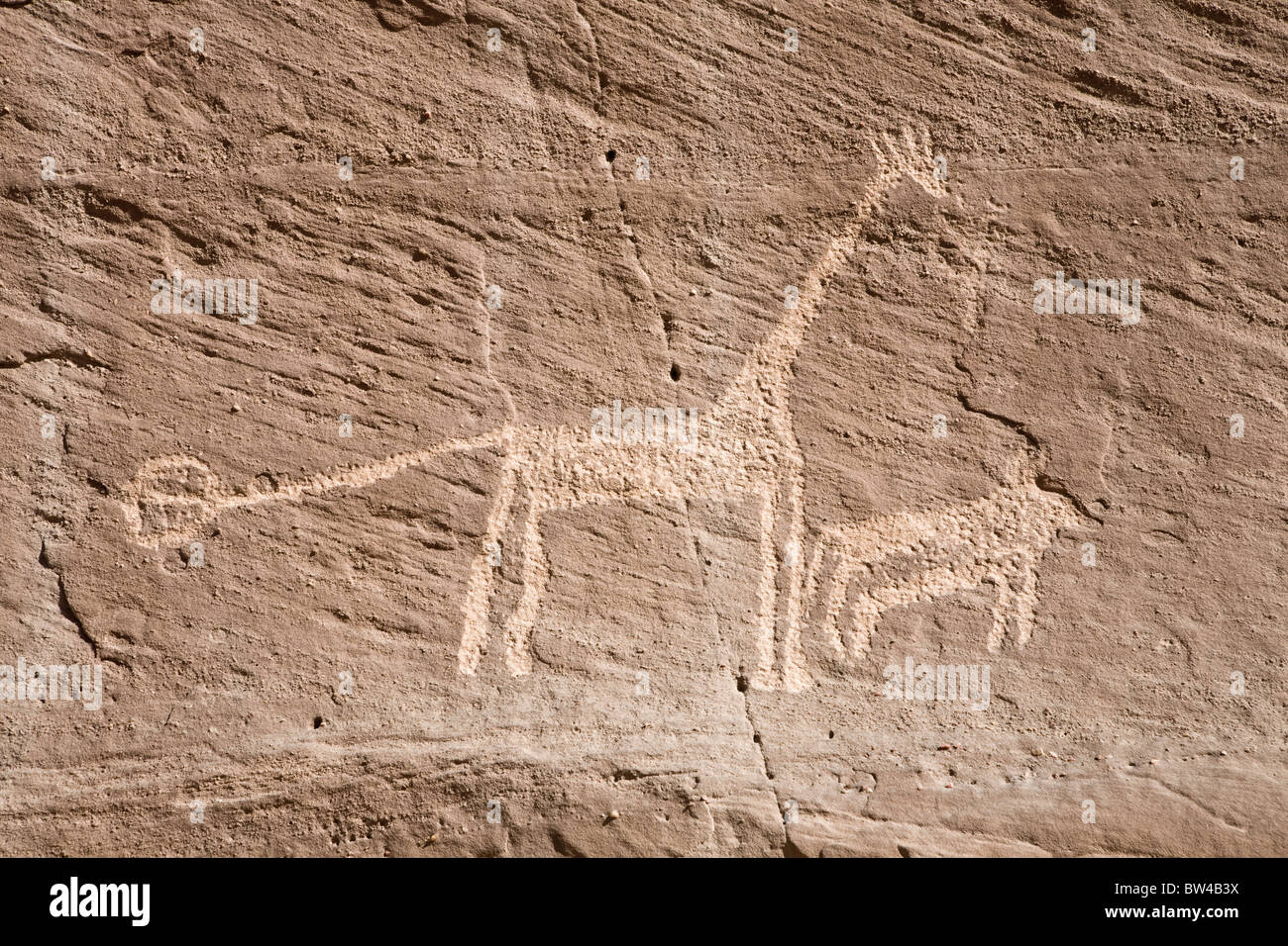 Giraffe und kleinere Tier geätzt auf Felsen in der östlichen Wüste von Ägypten Stockfoto