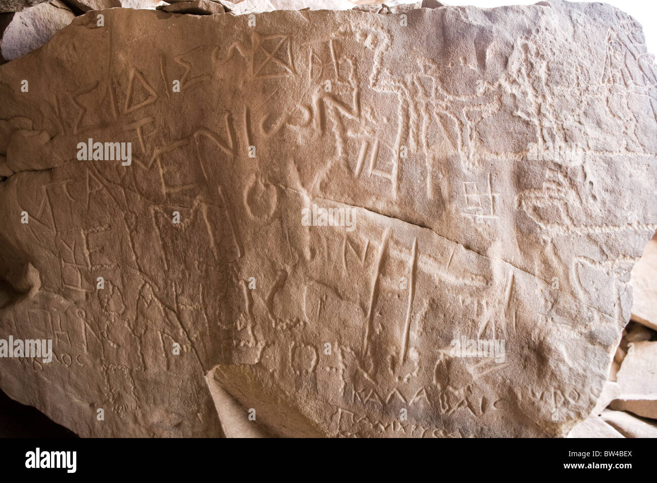 Felszeichnungen in der östlichen Wüste von Ägypten, Nord-Nord-Afrika Stockfoto