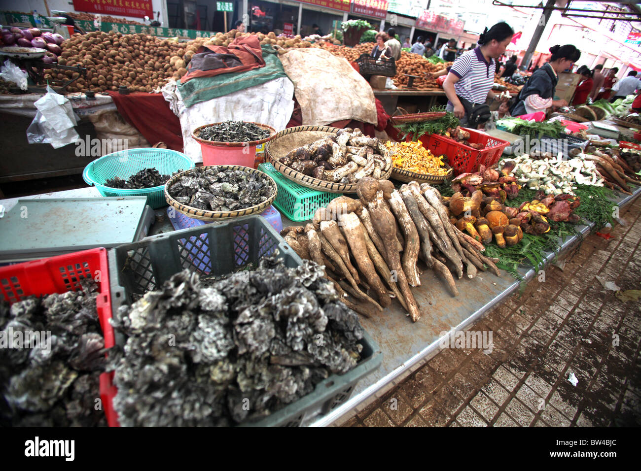 Exotische Pilze Pilze exotische Freshon Anzeige auf dem großen Wochenmarkt in Kunming, Provinz Yunnan, China. Stockfoto