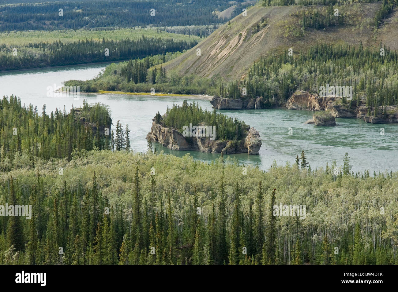 Fünf finger Rapids auf dem Yukon River in der Nähe von Carmacks im Yukon-Territorium Stockfoto